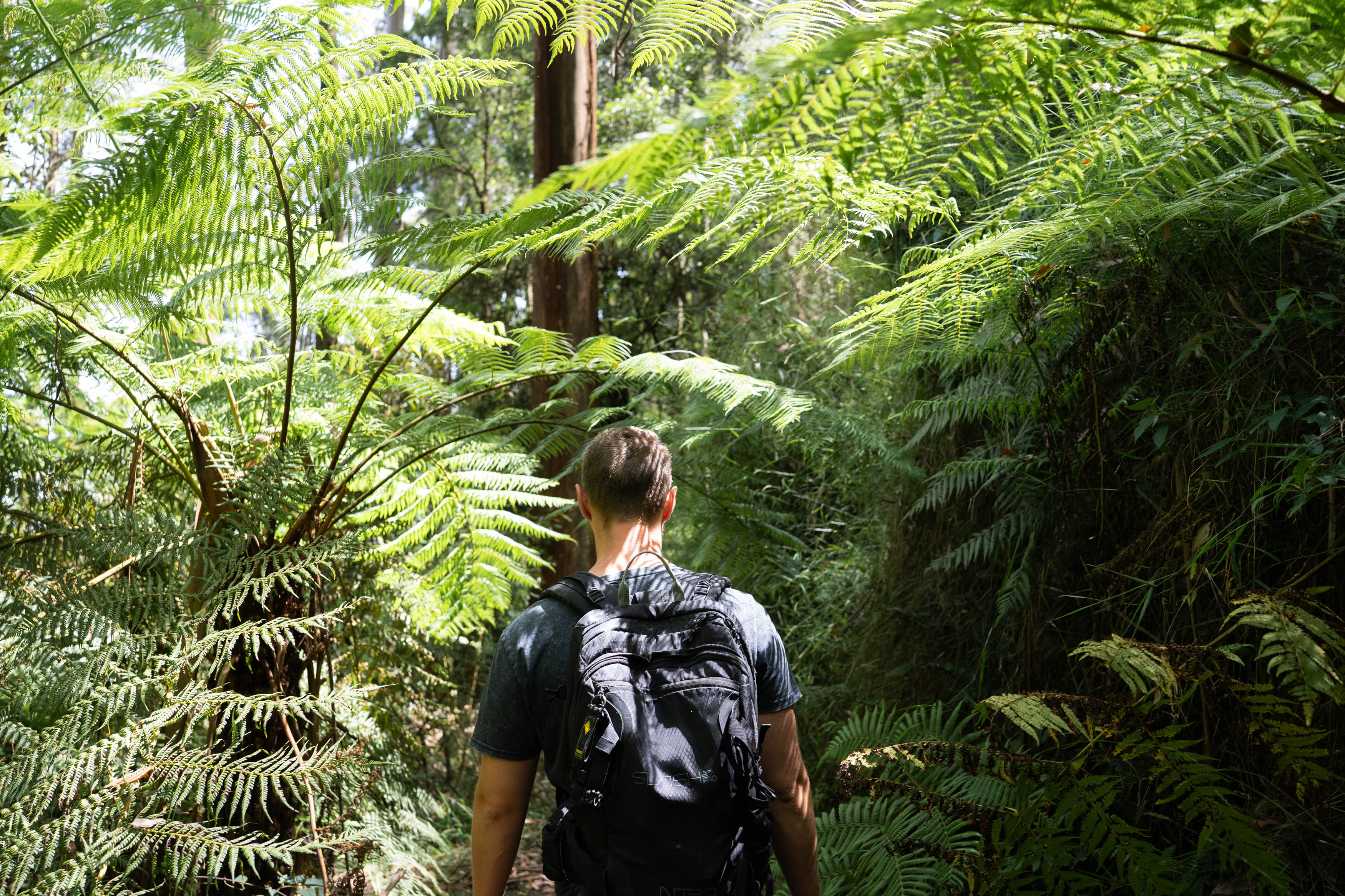 Tanglefoot Short Loop