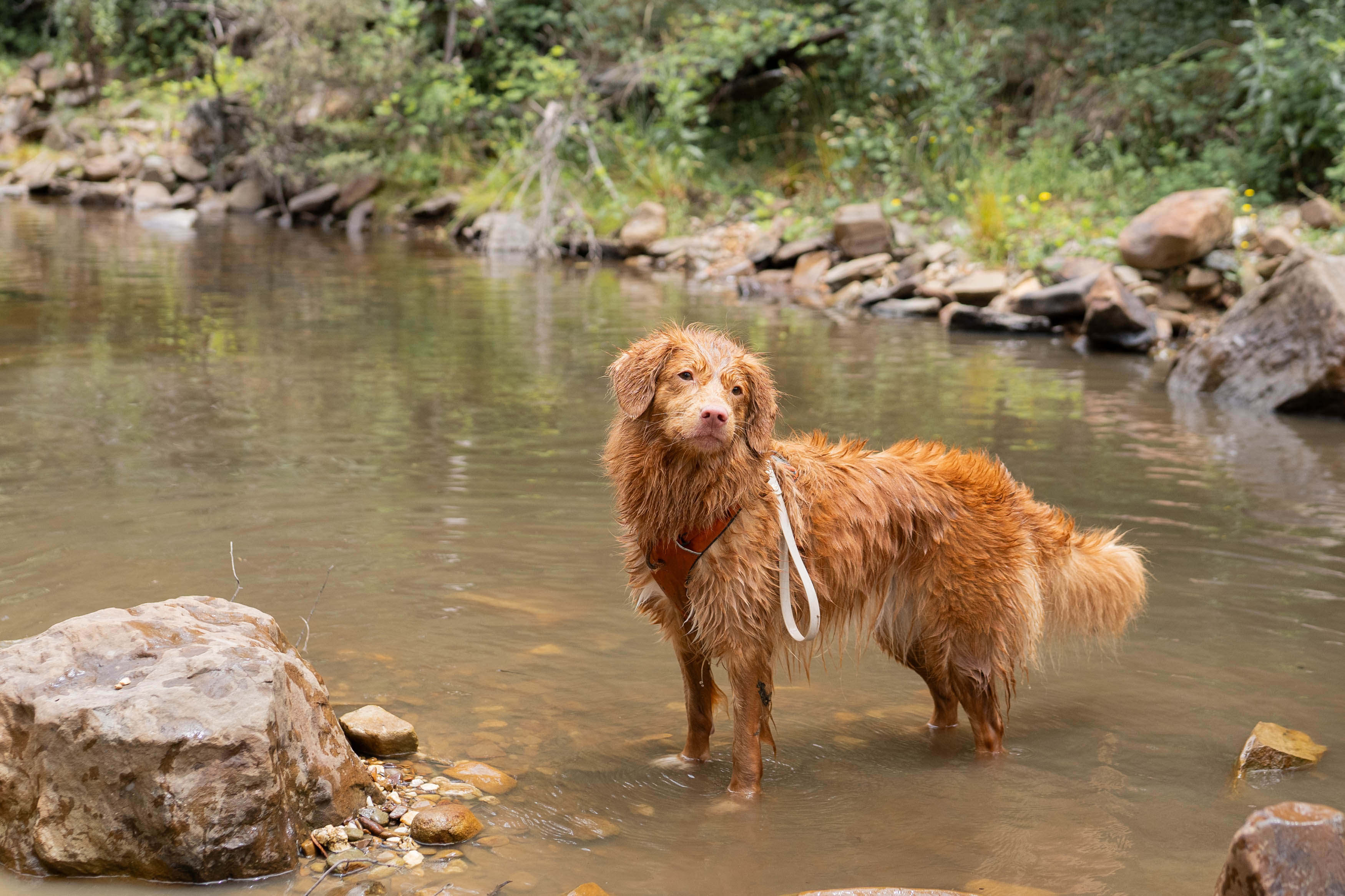 Obrien’s Crossing to The Tunnel