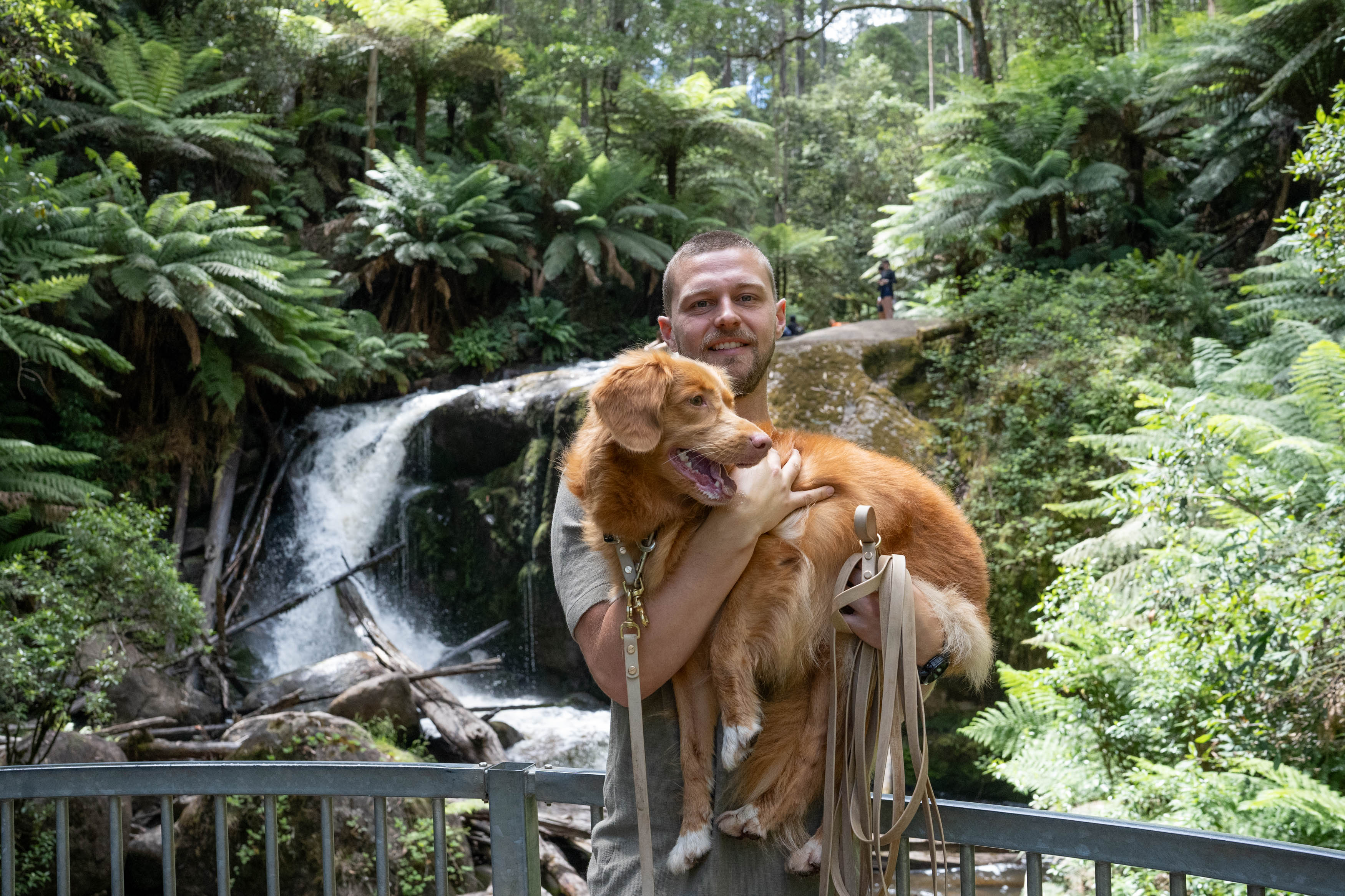 Toorongo and Amphitheatre Falls
