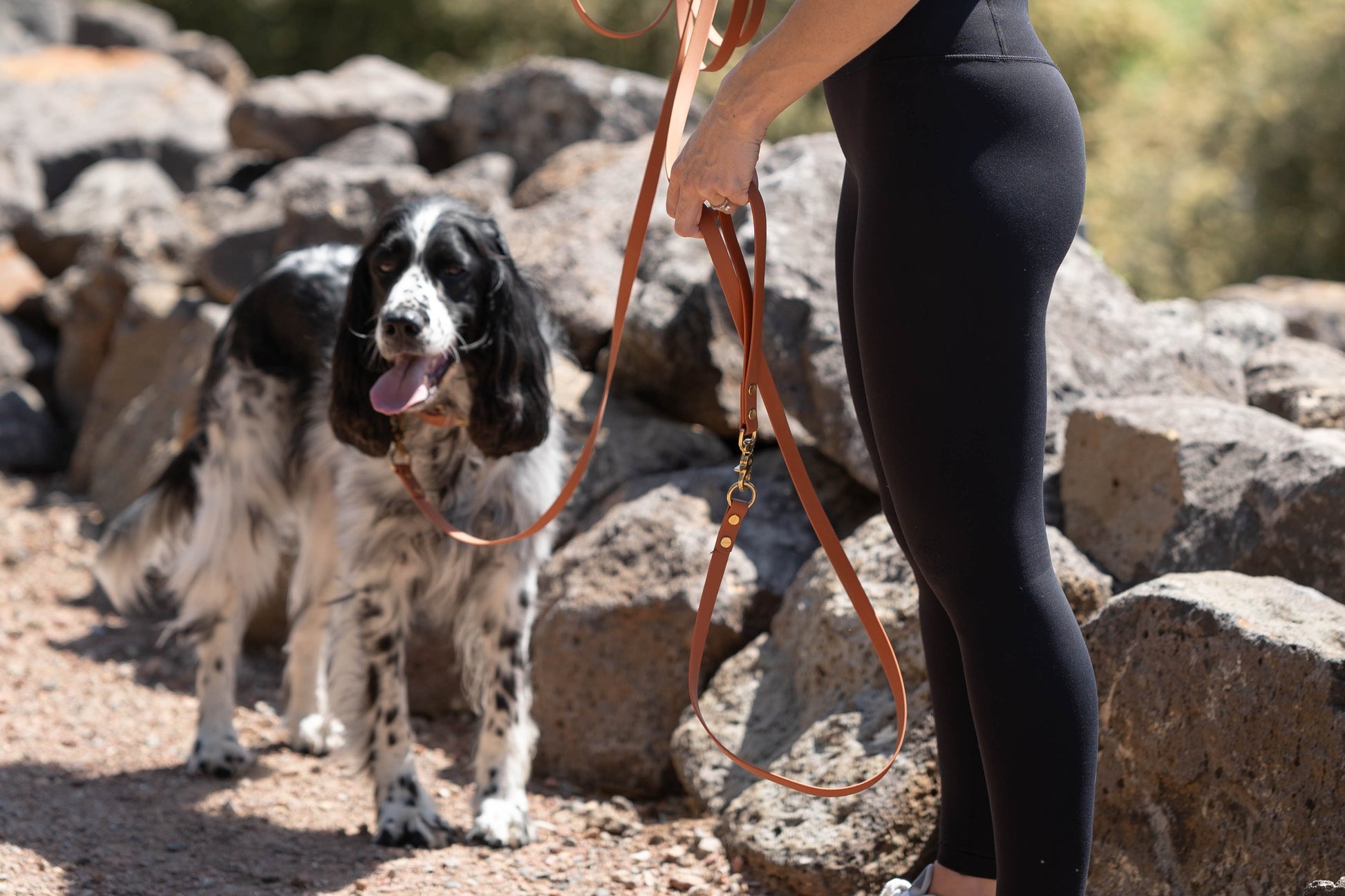dog waterproof long leash stylish durable clean