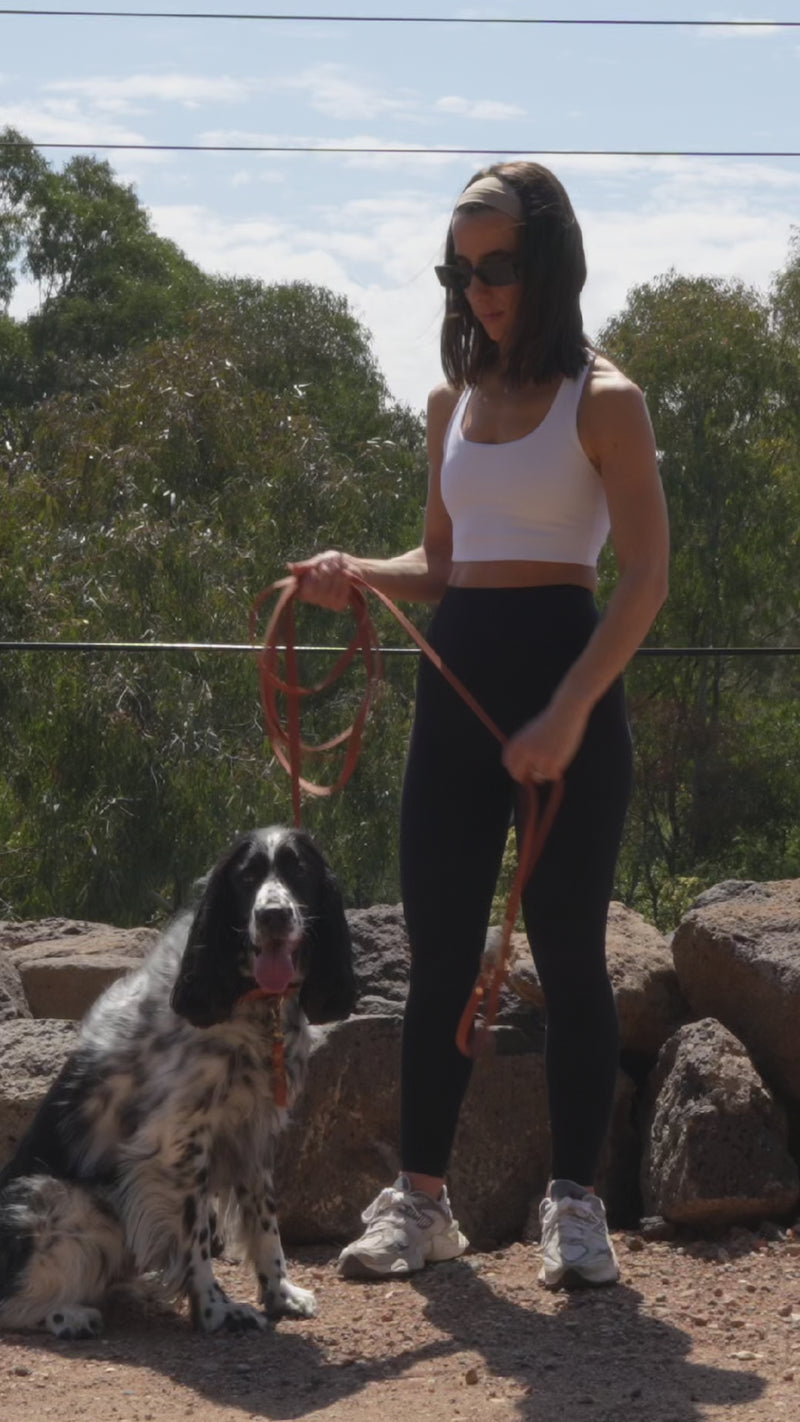 how to use a long leash dog waterproof