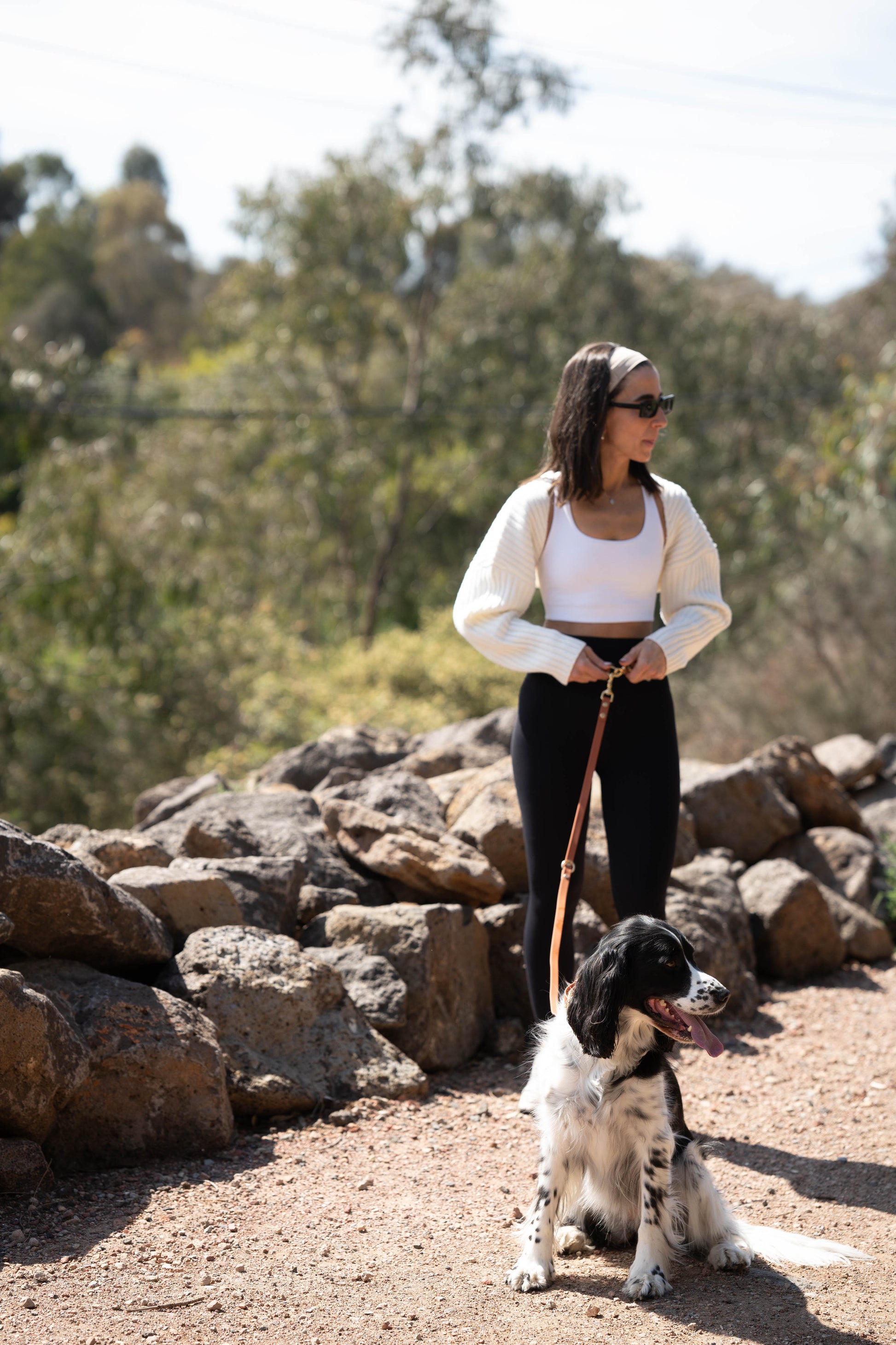 waist handsfree dog leash brown