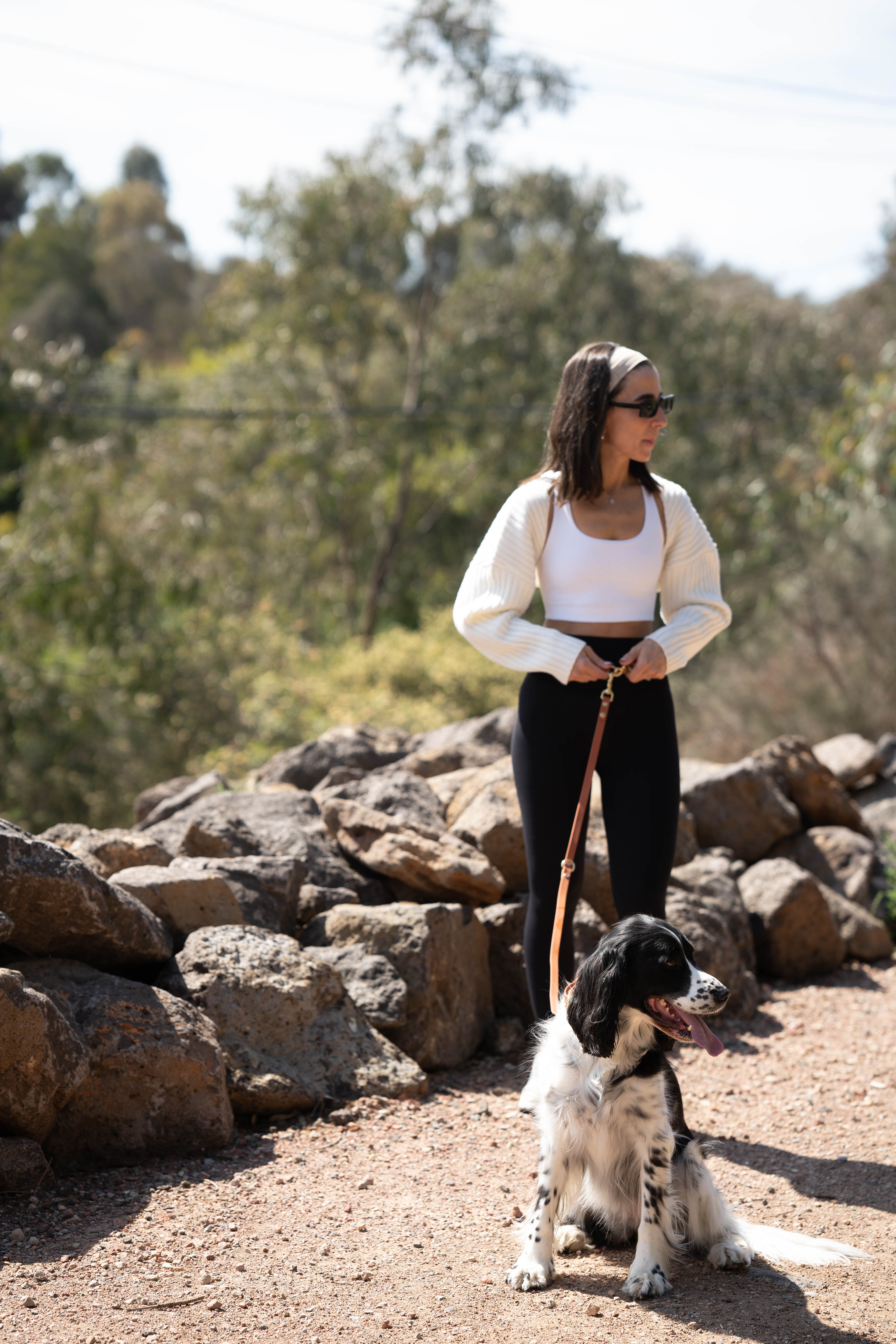 waist handsfree dog leash brown